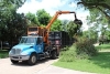 Photo of tree waste collection